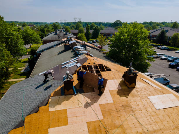 Best Local Roofing Companies  in Stockbridge, MI