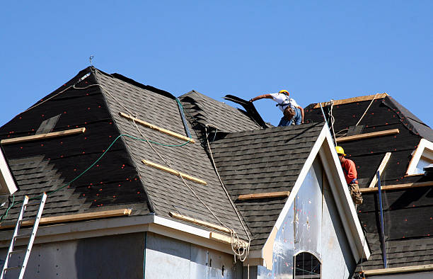 Best Roof Repair Services  in Stockbridge, MI
