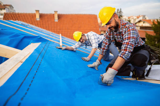 Best Gutter Installation and Roofing  in Stockbridge, MI