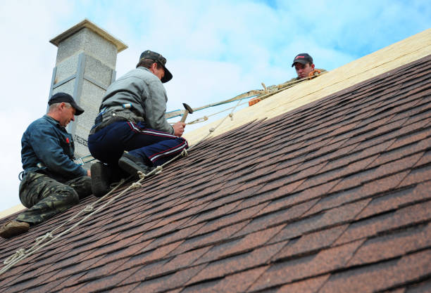Best Roof Gutter Cleaning  in Stockbridge, MI